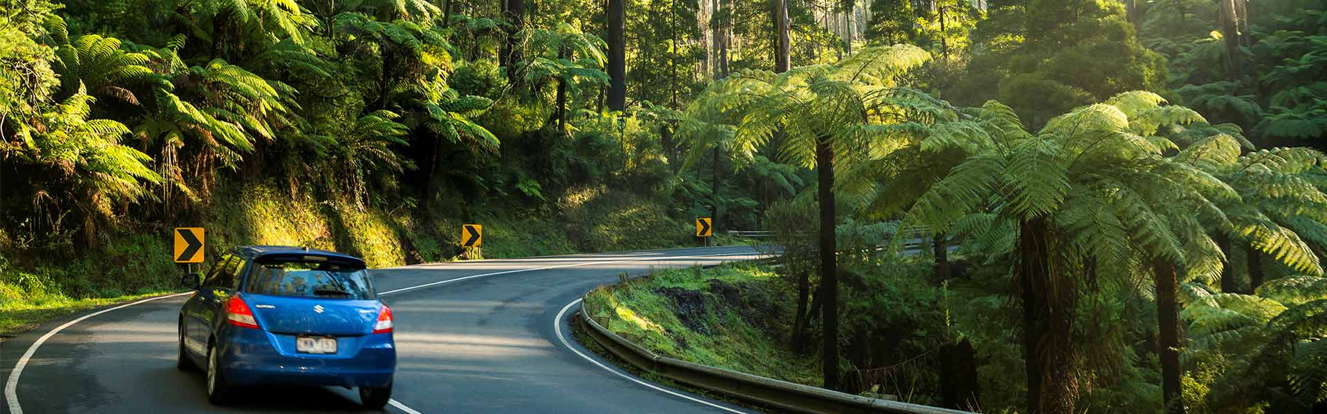 Suzuki Swift Rental Car driving in Vic