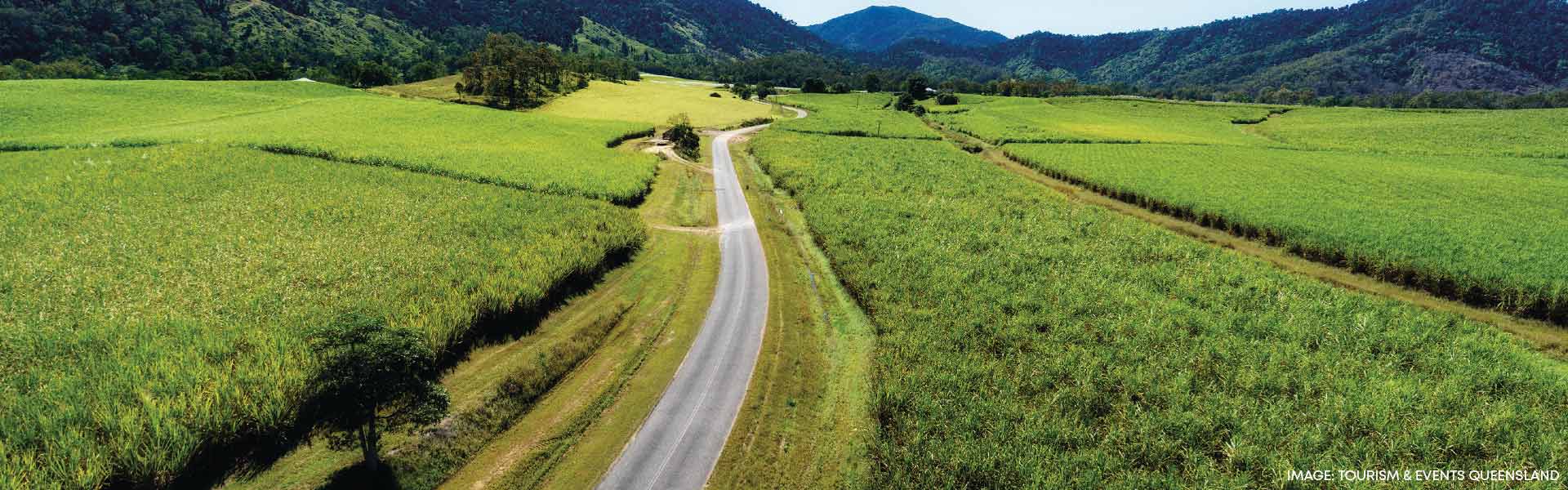 Road in QLD